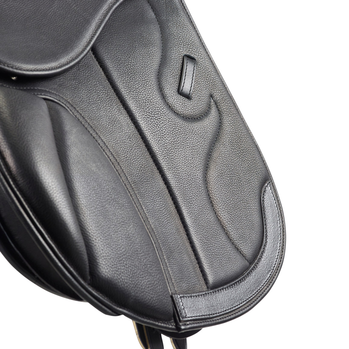 GFS-monrach-cob-jump-zweetbald