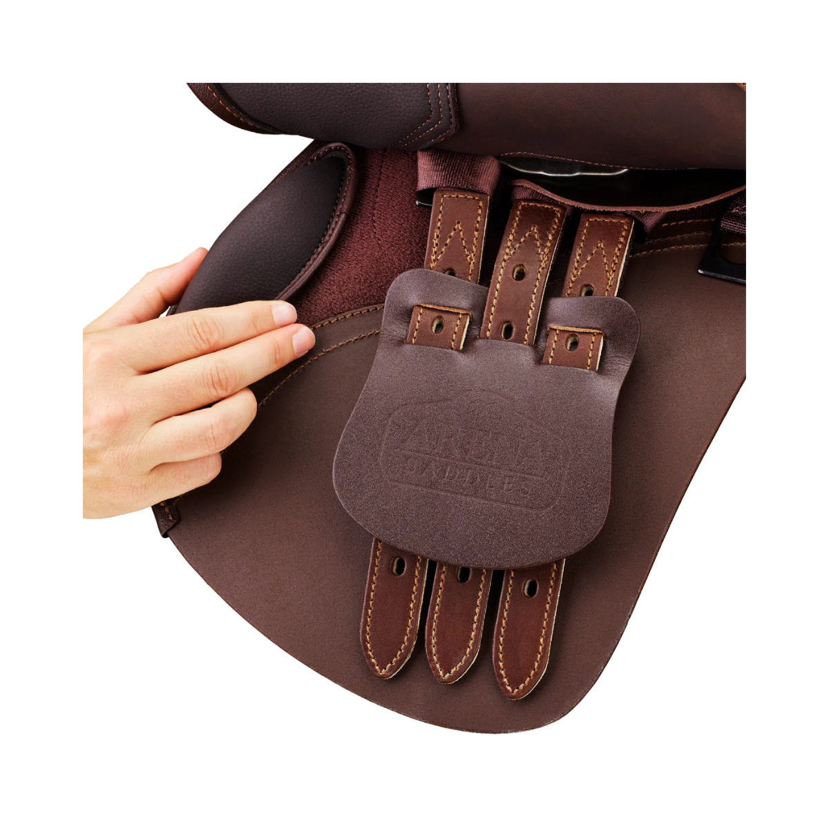 arena-pony-jump-singelophanging-bruin