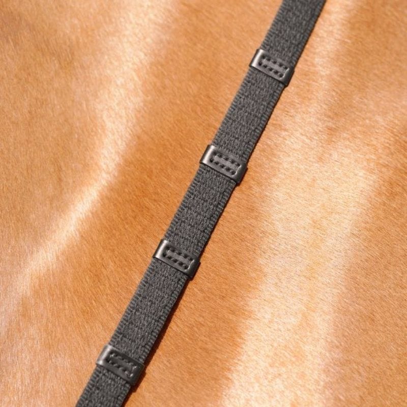 Zwarte webteugels met leren handgrepen, extra stops en blinde sluitingen op paard