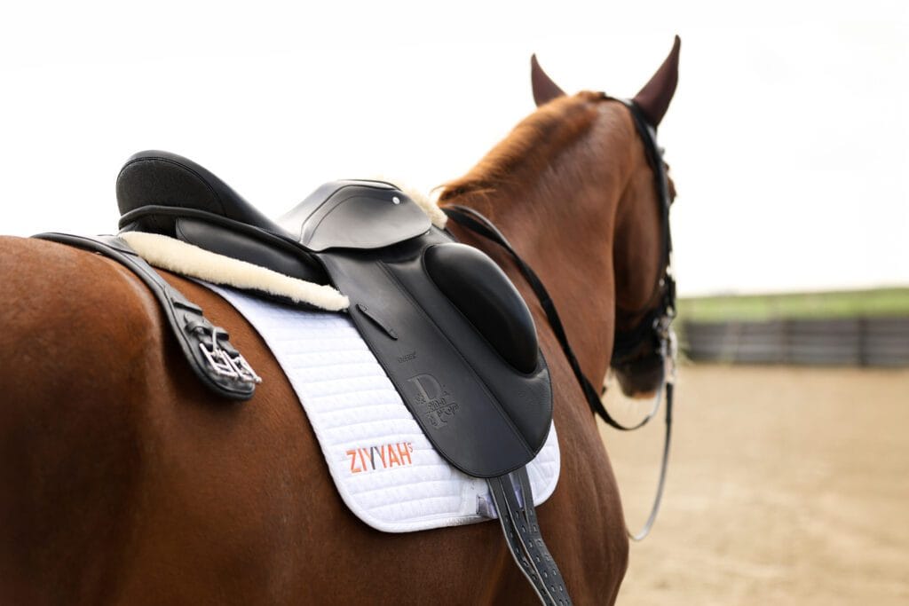 Passier zadel en singel