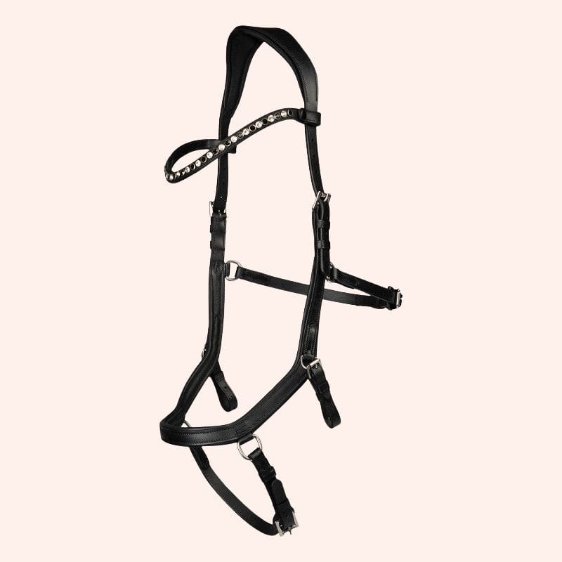 Nox hoofdstel, zwart