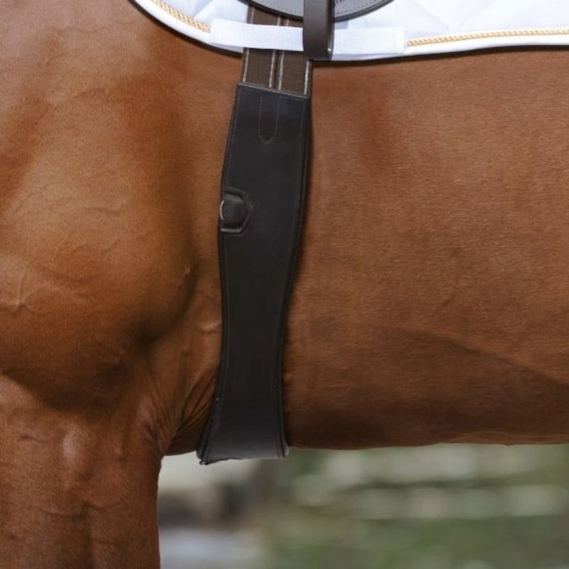 Havana lange singel curved op paard