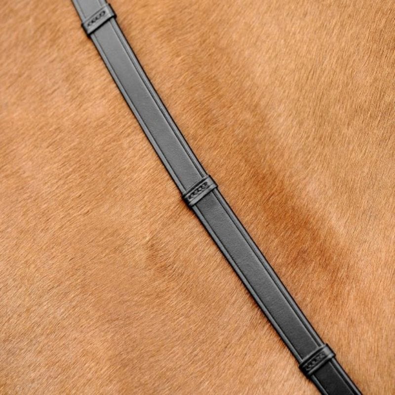 Leren teugels met leren stop en hookstuds op paard